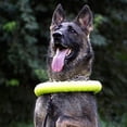 thumbnail image 4 of Dog Toy Lightweight Floating Pet Chew Toy Bite-resistant Interactive Dog Training Ring for Outdoor Activity, 4 of 8
