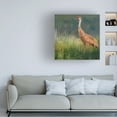 thumbnail image 3 of Chris Vest 'In the Water II' Canvas Art, 3 of 3