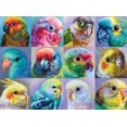 thumbnail image 1 of Rompecabezas Buffalo Games Parrot Perfection 1000 piezas, 1 of 6
