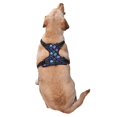 thumbnail image 2 of Naloa Flower Blue Skull Pet Harness Vest with Traction Rope, Adjustable No-Choke Dog Vest for Outdoor, Walking - Large, 2 of 4