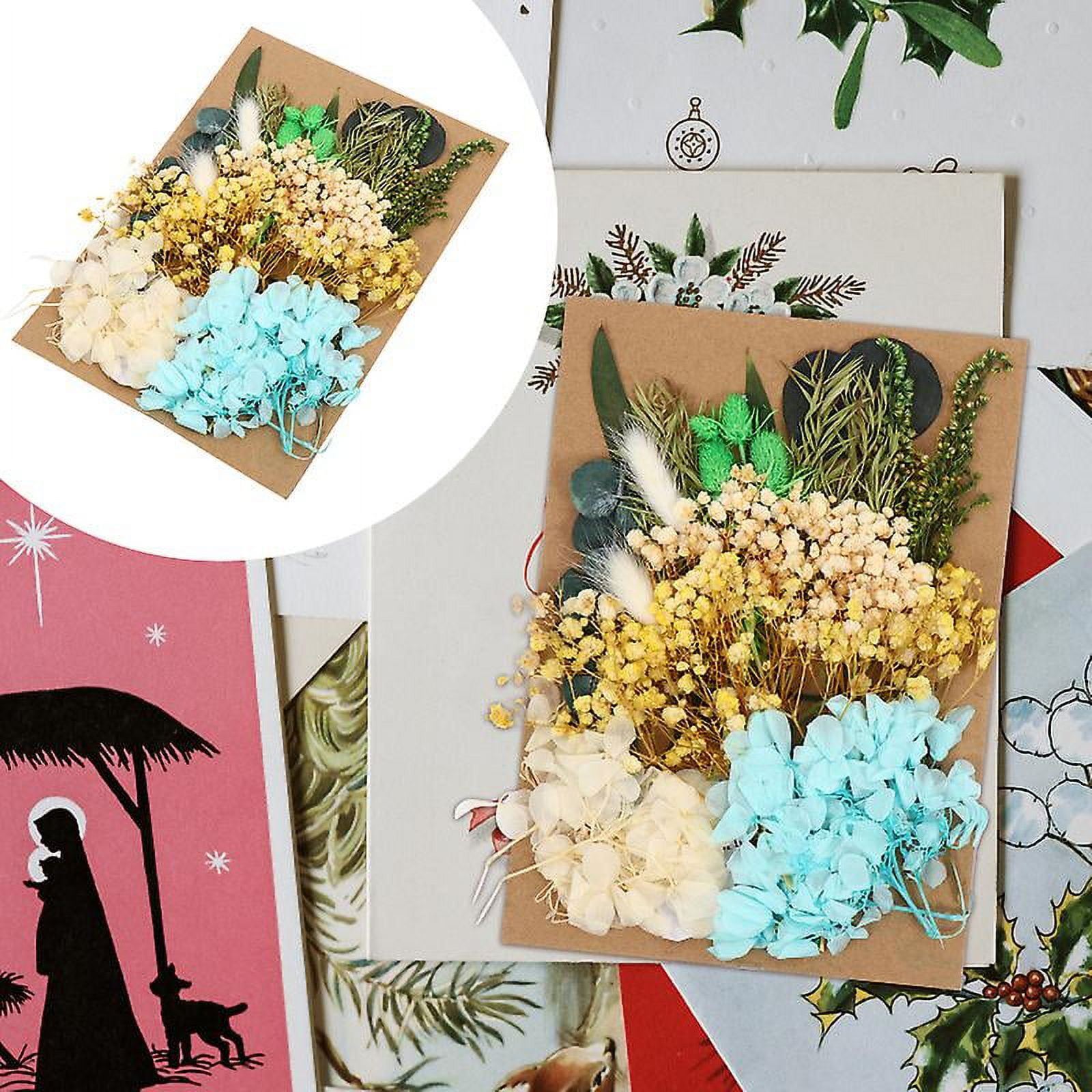 1pcs Pressed Flowers