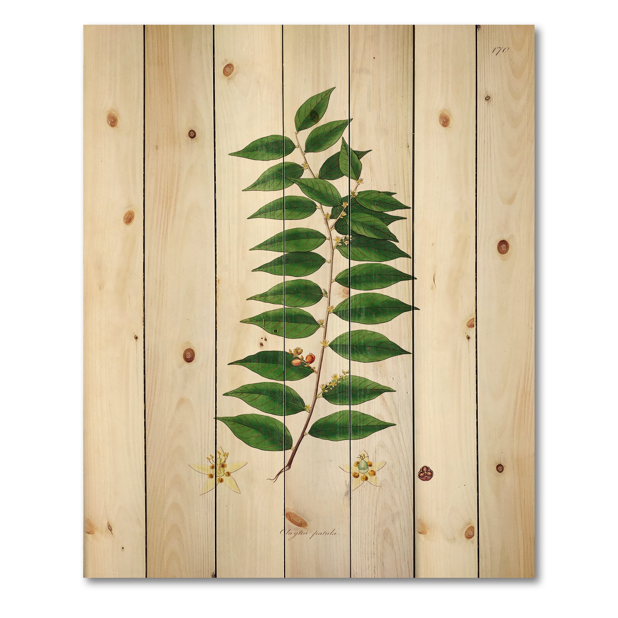 Designart 'Ancient London Plants VI' Farmhouse Print on Natural Pine Wood