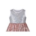 thumbnail image 4 of Girls Dress Silver Brown Shiny Glitter Sequin Color Block Sleeveless 5 Years, 4 of 6