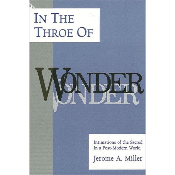 Philosophy of Art; Suny Series: In the Throe of Wonder: Intimations of the Sacred in a Post-Modern World (Paperback)