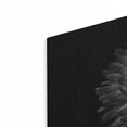 thumbnail image 2 of Luxe Metal Art 'Backyard Flowers In Black And White 20' by Brian Carson, Metal Wall Art, 36"x24", 2 of 9