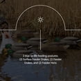 thumbnail image 4 of Avian X Topflight Backwater Mallards Decoys, Realistic Floating, 12 Pack, 4 of 12