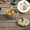 C, variant on Vestitly Tableware Oven Pumpkin Bowls Ceramic Pumpkin Pots For Cooking Pumpkin Dutch Oven Pot With Lid Mini Pumpkin Soup Bowls For Home Thanksgiving Halloween Party