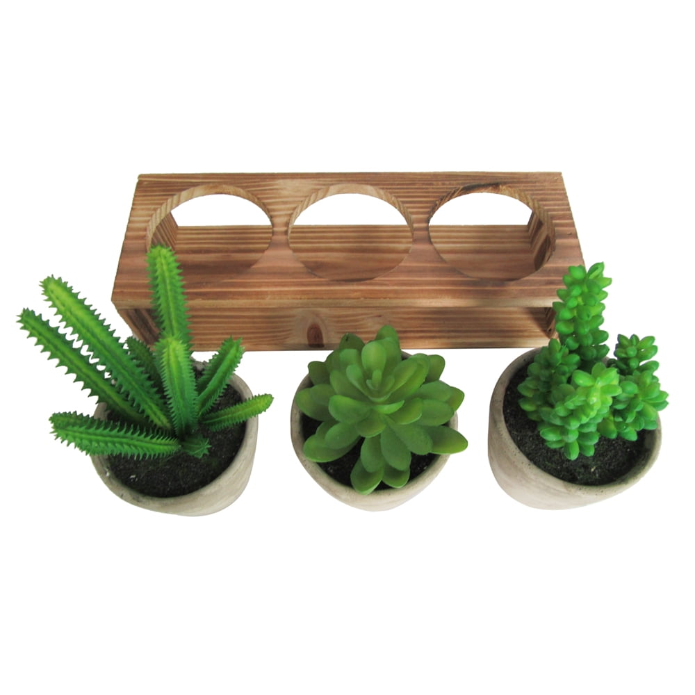 Artificial Succulent 3 Pieces Assorted Potted Fake Green Plant in Cement Pot