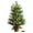 Green, variant on Pre-lit Mini Christmas Tree, 2ft Christmas Tree with 50 Led Warm Lights, Artificial Christmas Tree with 72 Branch Tips, Battery Operated Small Xmas Tree for Table Desk Best Holiday Home Decorations