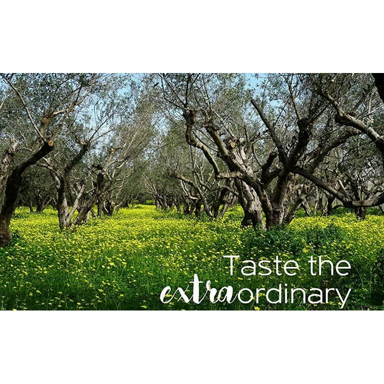 Terra Creta, 100% Koroneiki Variety, Estate Greek Extra Virgin Olive Oil, 3  Ltr (101 Fl.oz) Tin