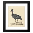 thumbnail image 2 of Pieter Pietersz. Barbiers 15x18 Black Modern Framed Museum Art Print Titled - Crested Parel Hoen (1759 - 1842), 2 of 5