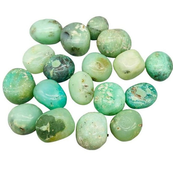 AzureGreen GTCHRGB 1 lbs Chrysoprase Green Tumbled Stones