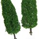 thumbnail image 4 of 6 Piezas Modelo Árbol Ciprés + 50 Piezas Modelo Hierba Material para Modelos DIY Modelismo de Arena perfke Mini árboles de paisaje, 4 of 9