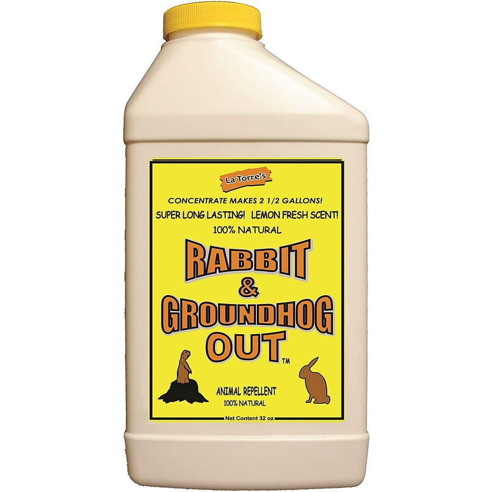 Rabbit & Groundhog Repellent Rabbit Out 32oz Concentrate