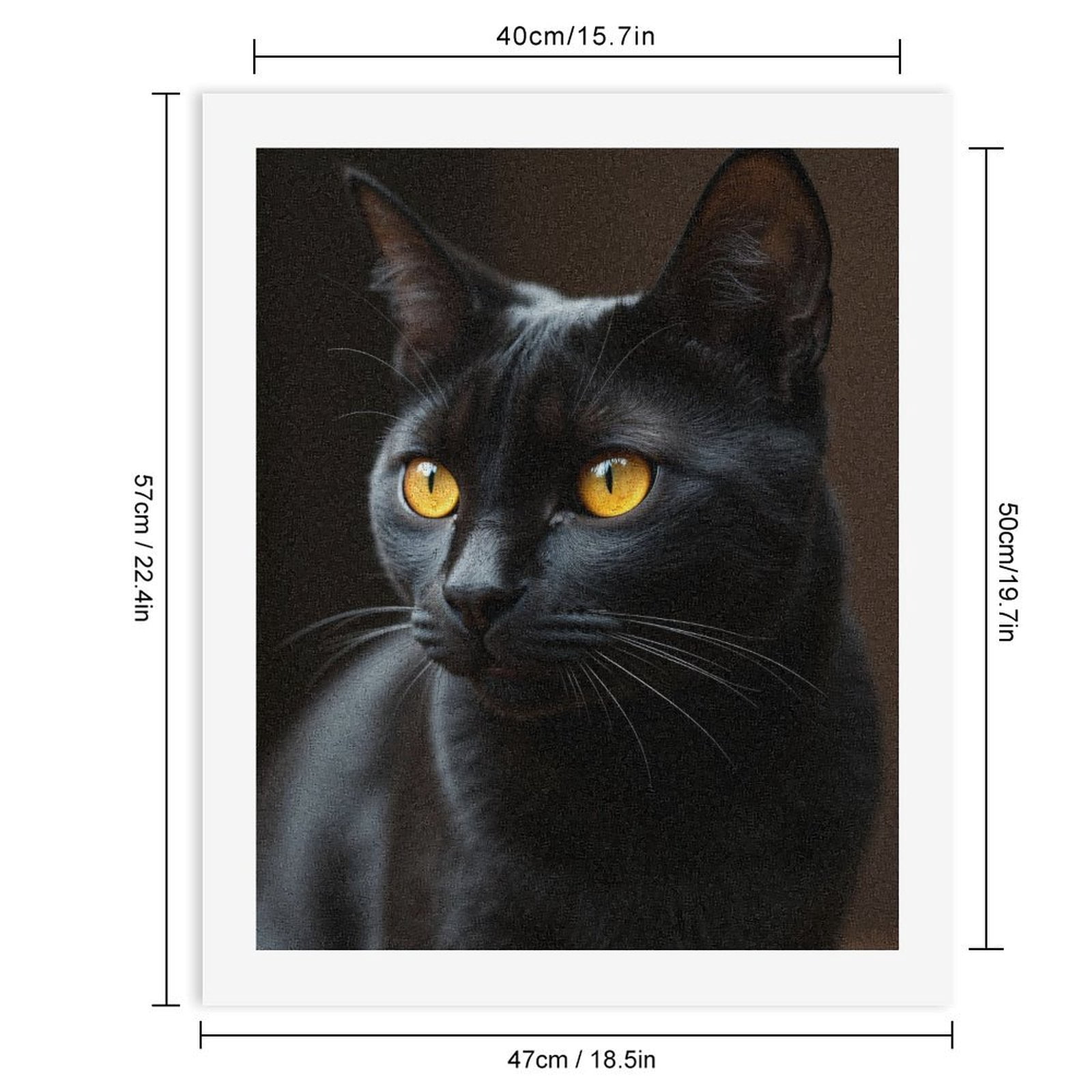 Paint by Numbers Kit for Adults, Black Cat Golden Eyes Portrait Paint by Numbers, Easy Paint by Numbers Kit for Adults Beginner, DIY Adult Paint by Number Kits on Canvas, Home Decor
