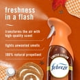 thumbnail image 2 of Febreze Air Freshener Spray, Odor-Fighting Room Spray, Pumpkin Roll Scent, 8.8oz, 1 Count, 2 of 11