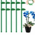 thumbnail image 1 of Garden Climbing Plant Support – Poles and Racks for Hippeastrum, Roses, Tomatoes & Flower -Toppling, 1 of 5