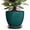 Blackish Green, variant on Wliror 6 Inch Grey Ceramic Plant Pot - Small Round Planter with Drainage for Succulent Cactus Orchid, Modern Flower Pot for Indoor Outdoor Home Decor
