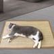 thumbnail image 1 of Alfombrilla Para Rascar Gatos, Cama Para Dormir, Almohadilla Para Rascar El Suelo Del Gato Para Sofá, Alfombra, 50cm X 80cm 50cmx80cm Yinane Almohadilla para rascar gatos, 1 of 8