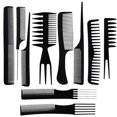 thumbnail image 1 of Juego de 10 peines profesionales para peinar el cabello, de fibra de carbono resistente al calor, con estuche., 1 of 5