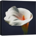 thumbnail image 3 of PixonSign Canvas Print Wall Art Crisp Detailed White Calla Lily Floral Plants Photography Realism Glam Closeup Colorful Multicolor Ultra for Living Room, Bedroom, Office - 24"x24", 3 of 5