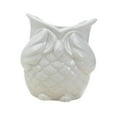 thumbnail image 2 of Maceta para plantas de interior, forma de búho, lindo estilo japonés, contenedor para decoración de interiores, oficina, hogar, balcón , Sin mirada, 2 of 8