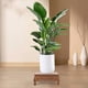thumbnail image 3 of Base de madera para maceta, soporte para maceta, soporte para maceta, soporte para maceta, 3 of 8