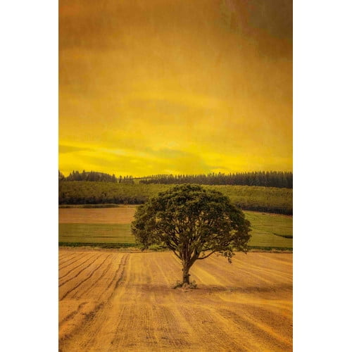 Marmont Hill "Lone Tree at Sunset" Painting Print on Canvas Walmart