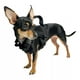 thumbnail image 2 of Pechera Tactica P/perros Y Gatos, Razas Pequeñas Ajustable, 2 of 7
