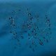 thumbnail image 4 of Shower Curtain Liner, Blue Lightweight Shower Curtain Liners, Plastic Shower Curtains, 72x72 inch PEVA Shower Liner with 12 Grommet Holes 3 Magnetic W, 4 of 4