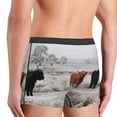 thumbnail image 5 of Balery Men'S Design Name Ultra Soft Performance Boxer Briefs-Size Name, 5 of 9