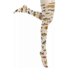 thumbnail image 3 of Fish Tights, Fish Print Tights,Women's Fish Printed 120D Fun Tights, 3 of 5