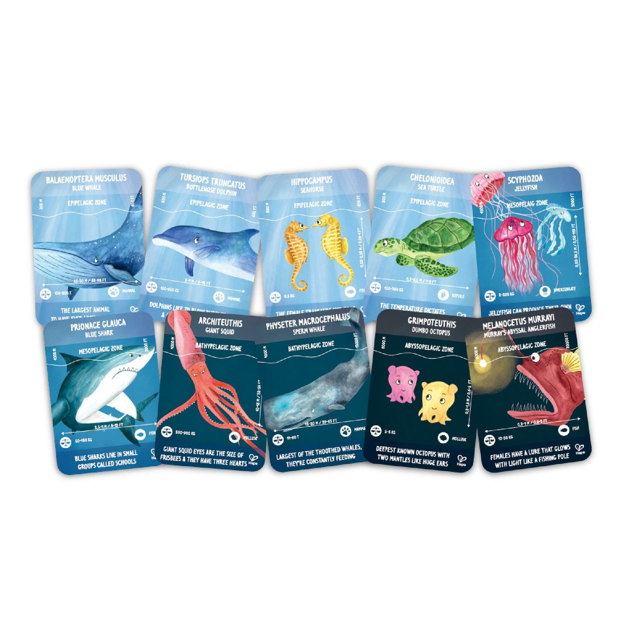 Hape Giant Glow-In-The-Dark Ocean Life Jigsaw Puzzle, 200 Pieces