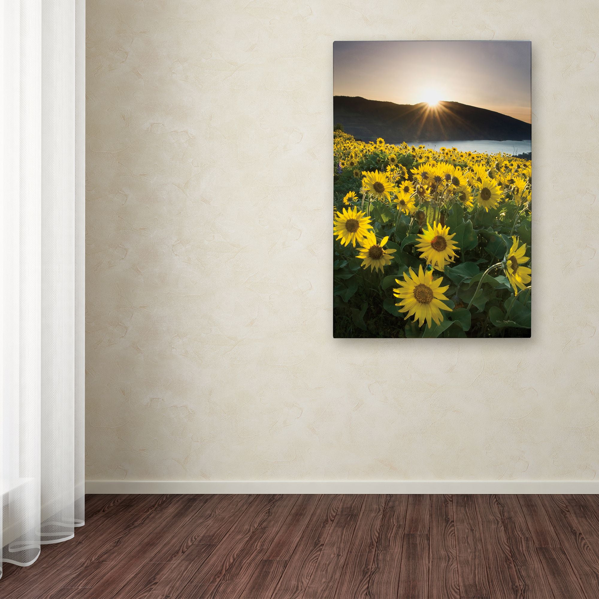 Trademark Fine Art 'Columbia River Gorge Sunrise' Canvas Art by Alan Majchrowicz
