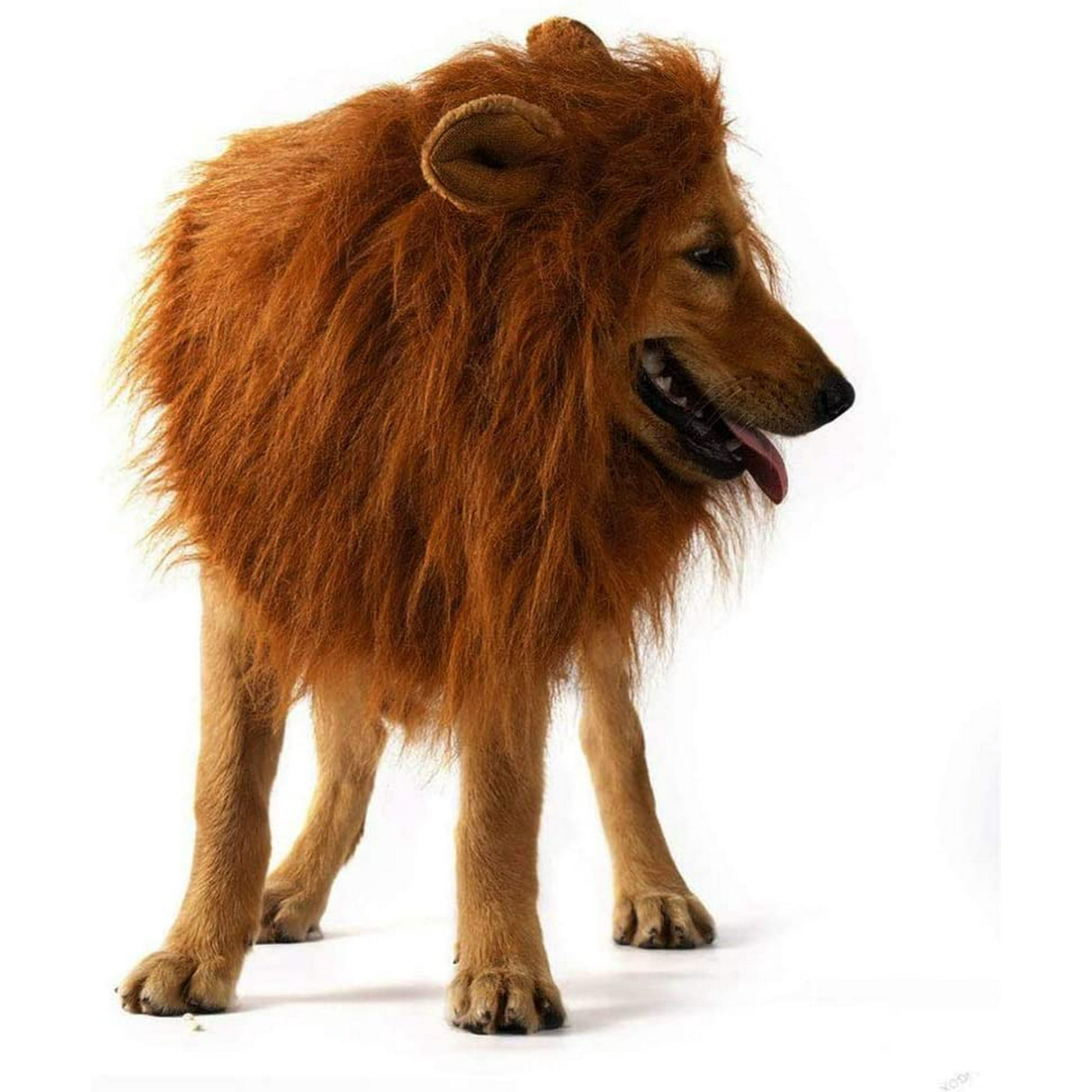 QUETO Dog Lion Mane Costume for Medium to Large Dog and Cat Adjustable  Realistic Funny Pet Lion Mane Wig with Ears Clothing for Halloween Cosplay  Party Holiday (Dark) | Walmart Canada