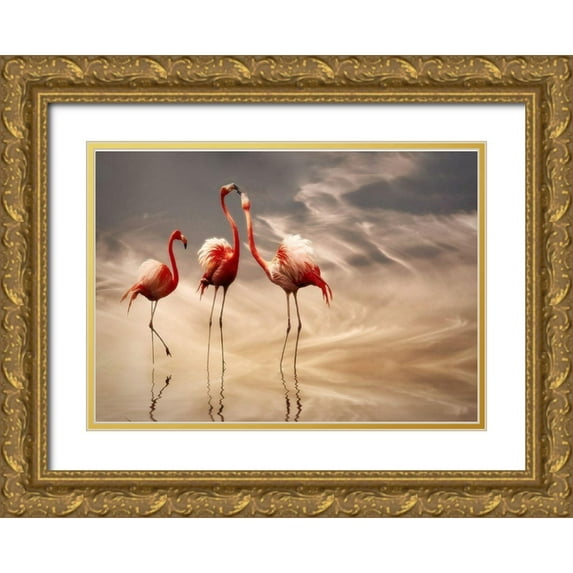 Cseresnjes, Anna 14x11 Gold Ornate Wood Framed with Double Matting Museum Art Print Titled - fighting