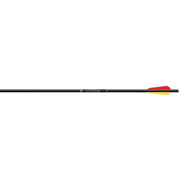 Easton Bloodline Bolts, Flat Nock, 20" BTV Vane, Pack of 72