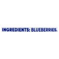 thumbnail image 3 of Compass Freeze Dried Blueberries, 3 of 4