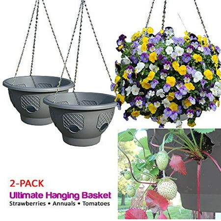 Ultimate Hanging Baskets - Strawberry, Tomato, Flower, and Herb Outdoor Planters - Use Garden Pots for Growing Plants Outside On A Deck, Fence, or Balcony (Gray - (Best Tomato Plant To Grow In A Pot)