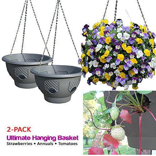 Ultimate Hanging Baskets Strawberry Tomato Flower And Herb