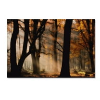 Trademark Fine Art 'Autumn Light' Canvas Art by Jan Paul Kraaij