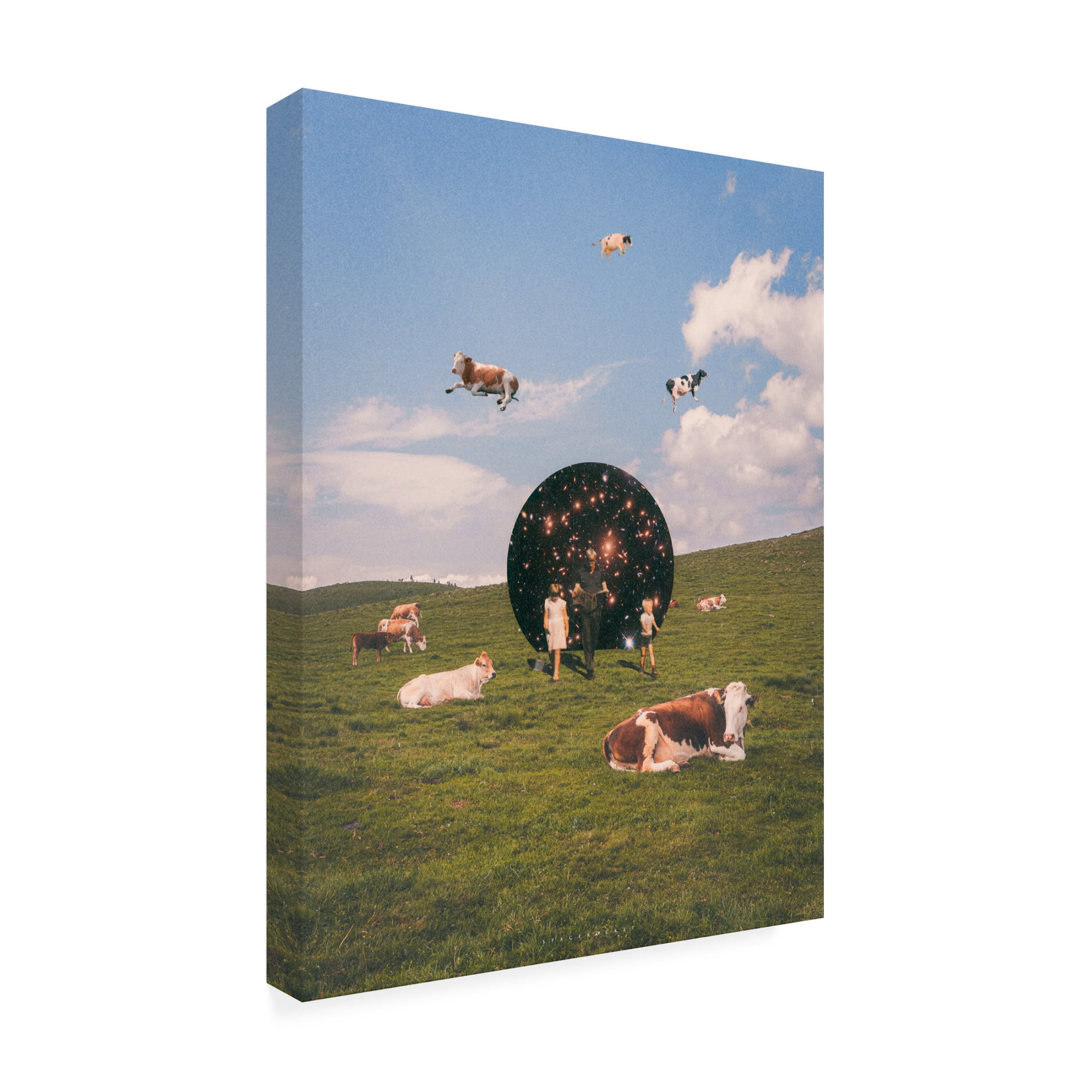 Trademark Fine Art spacerocket art 625 Canvas Wall Art