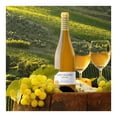 thumbnail image 3 of Vino Blanco Pazo Cilleiro Albariño 750 ml, 3 of 3