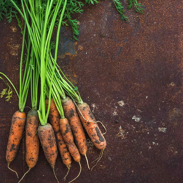 Little Finger Carrot Seeds - 1 Oz - Non-GMO, Heirloom Vegetable Garden ...