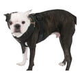 thumbnail image 3 of Puppia arnés suave para perro / gato talla Mediano Puppia PDCF-AC30, 3 of 4