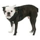 thumbnail image 3 of Puppia arnés suave para perro / gato talla Chico Puppia PDCF-AC30, 3 of 4