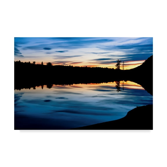 Trademark Fine Art 'Silhouetted Landscape' Canvas Art by Anthony Paladino