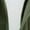 Winter jackets for men clearance-Army Green, variant on Mens Coats and Jackets Winter Clearance Men's Fashion Casual Solid Color Pockets Zipper Long Sleeve Hooded Casual Outerwear Coat Green Black*Friday/Cyber*Monday Clearance