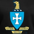 thumbnail image 3 of CafePress - Sigma Chi Coat Of Arms Colored T Shirt - Women's V-Neck Dark T-Shirt, 3 of 4