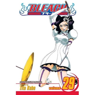 Bleach Bleach, Vol. 71, Book 71, (Paperback) - Walmart.com